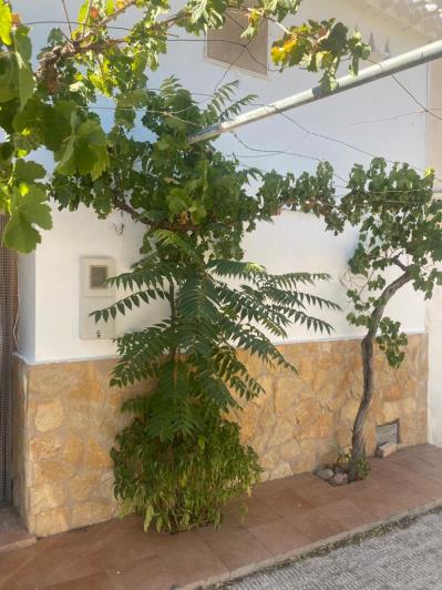 Image No.31-Maison de campagne de 3 chambres à vendre à Velez-Rubio