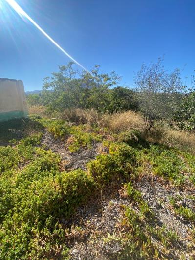 Image No.36-Maison de campagne de 3 chambres à vendre à Velez-Rubio