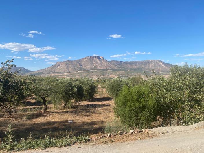 Image No.39-Maison de campagne de 3 chambres à vendre à Velez-Rubio