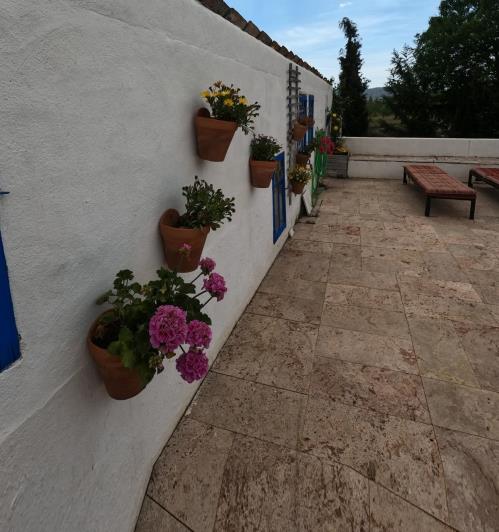 Image No.56-7 Bed Country Property for sale