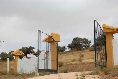 Image No.23-Finca de 5 chambres à vendre à Chirivel