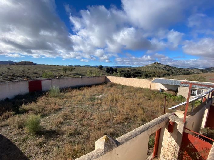 Image No.45-Finca de 5 chambres à vendre à Chirivel