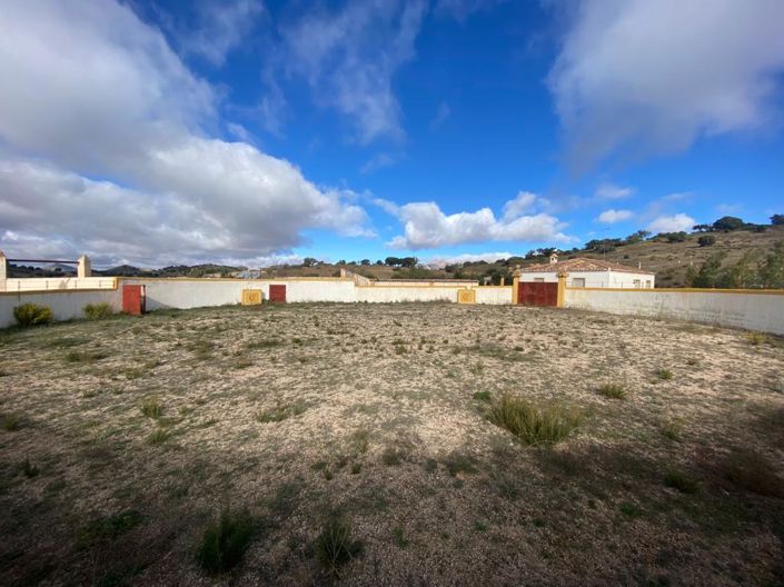 Image No.48-Finca de 5 chambres à vendre à Chirivel