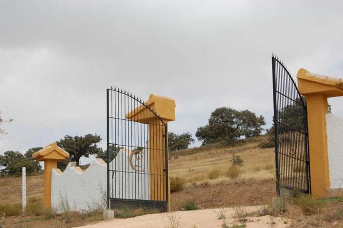 Image No.5-Finca de 5 chambres à vendre à Chirivel