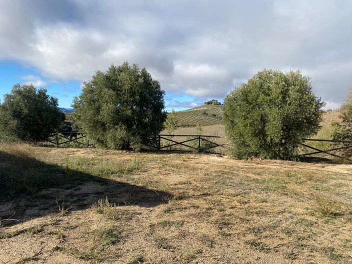 Image No.50-Finca de 5 chambres à vendre à Chirivel