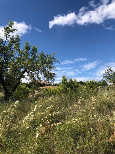 Image No.34-Propriété de 5 chambres à vendre à Velez Blanco