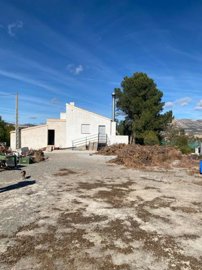 property155855944