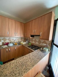 property155855681