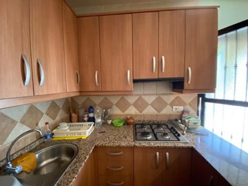 property155855882