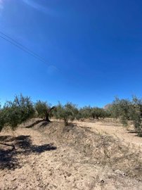 property174180321