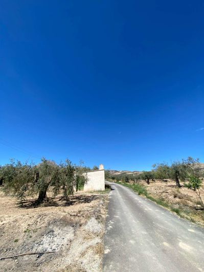 Image No.4-Finca for sale