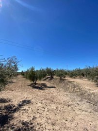 property174180213