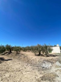 property174180917