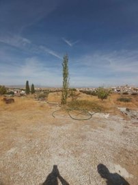 property172929436