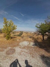 property172929570