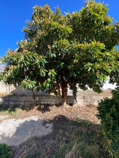 Image No.12-Propriété de 4 chambres à vendre à Cullar