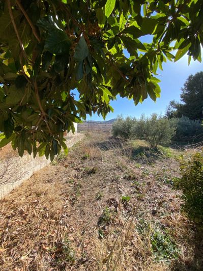 Image No.13-Propriété de 4 chambres à vendre à Cullar