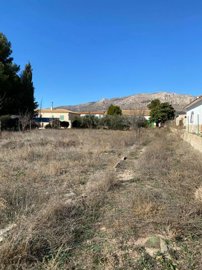 property159684543