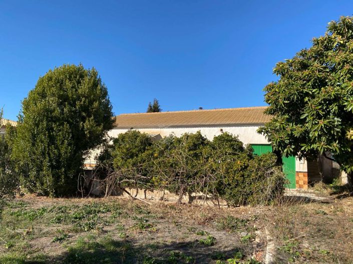 Image No.6-Propriété de 4 chambres à vendre à Cullar