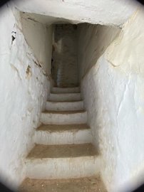 property153483956