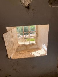 property153483126