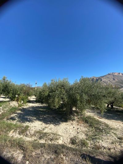 Image No.27-2 Bed Property for sale