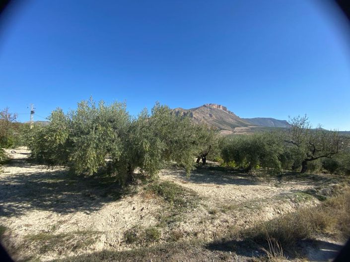 Image No.42-2 Bed Property for sale