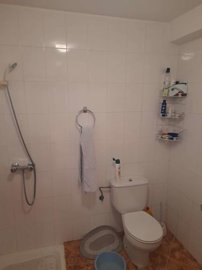 property164256668