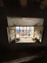 property162573874