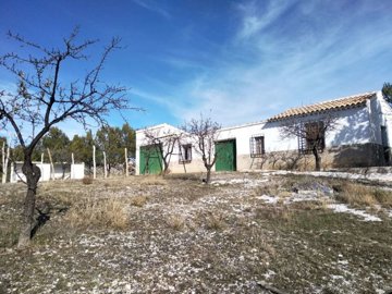 property151211220