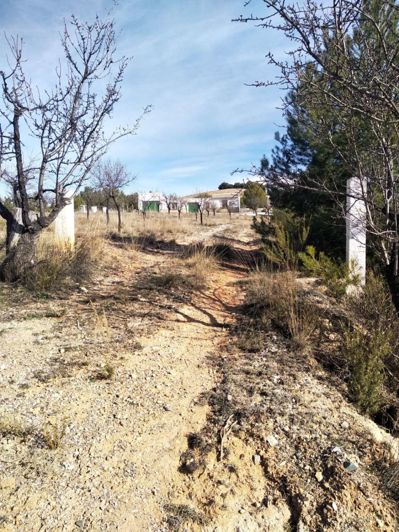 Image No.23-1 Bed Property for sale