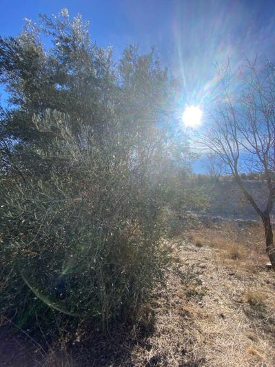 Image No.27-1 Bed Property for sale