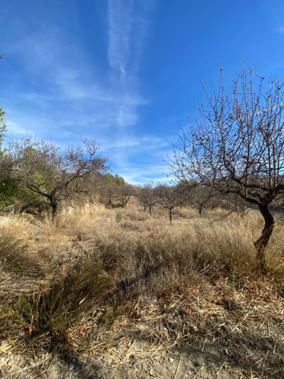 Image No.33-1 Bed Property for sale