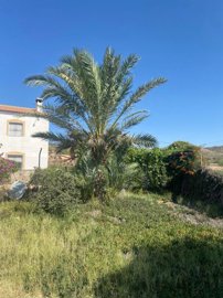 property148320587