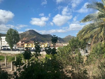 property146204137