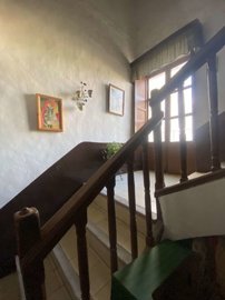 property146204875