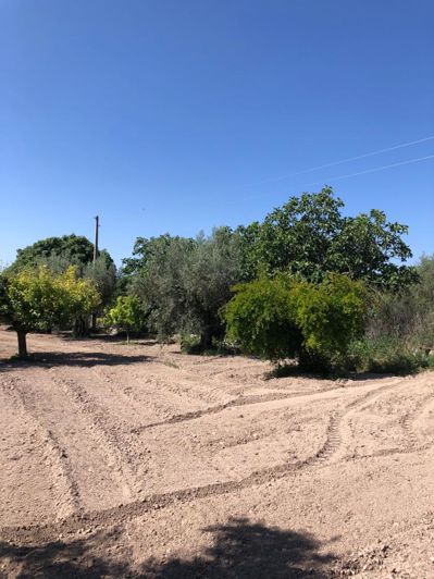 Image No.21-3 Bed Property for sale