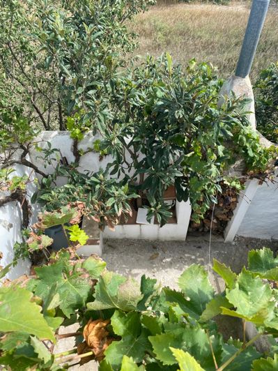 Image No.26-4 Bed Property for sale