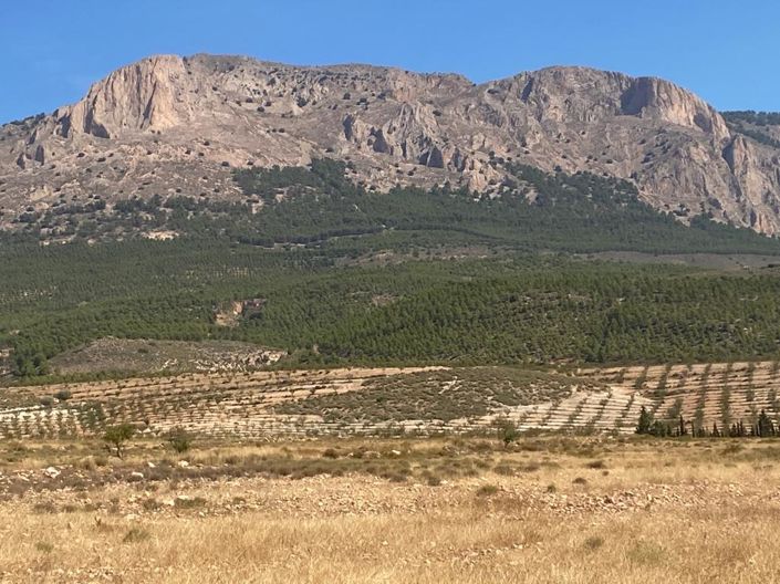 Image No.4-Propriété à vendre à Velez-Rubio