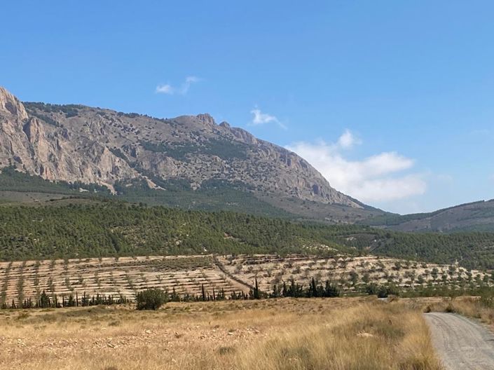 Image No.7-Propriété à vendre à Velez-Rubio