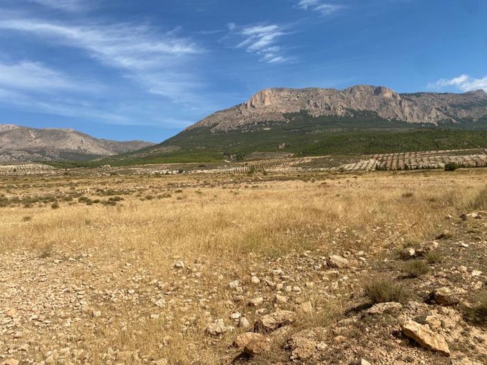 Image No.8-Propriété à vendre à Velez-Rubio