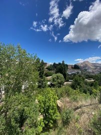 property147583739
