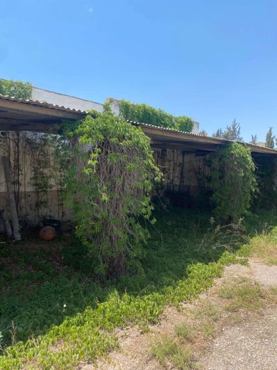 Image No.13-2 Bed Finca for sale