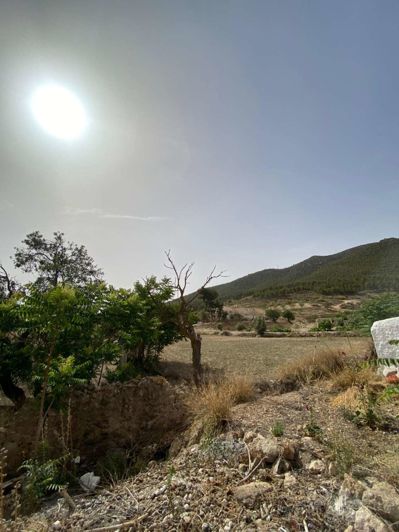 Image No.9-Property for sale