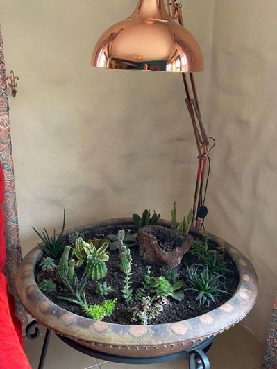 Image No.13-Propriété de 7 chambres à vendre à Chirivel