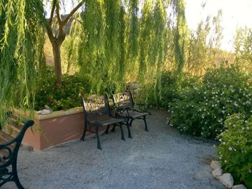 property18431414