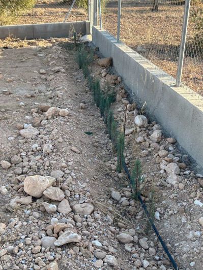 Image No.14-Finca de 1 chambre à vendre à Velez Blanco