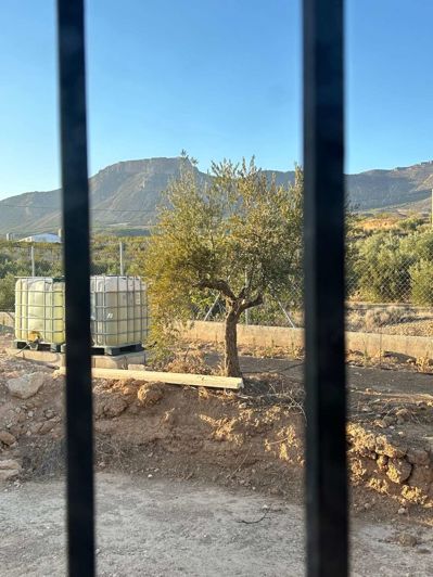 Image No.17-Finca de 1 chambre à vendre à Velez Blanco