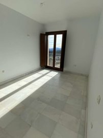 property219180752