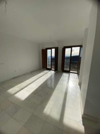 property219179616